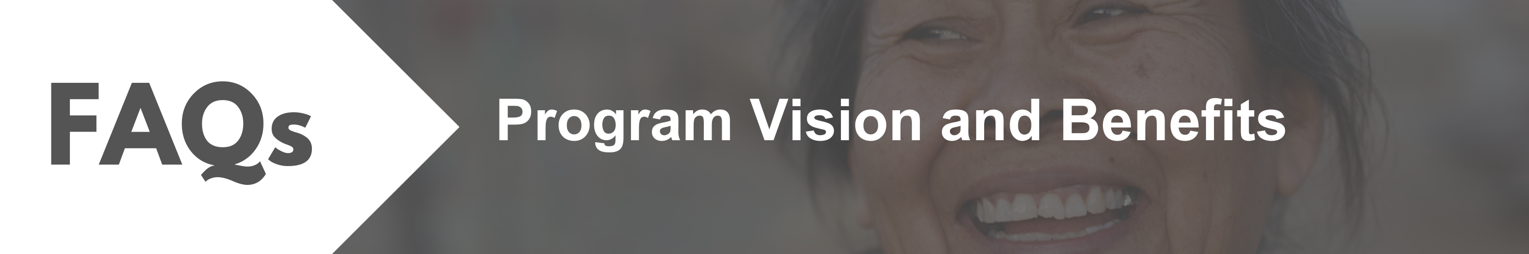 Program Vision and Benefits FAQs 